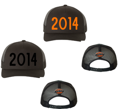 2014 3D Puff Hat