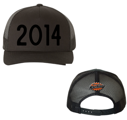 2014 3D Puff Hat