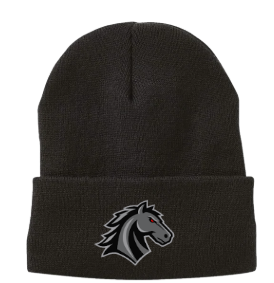 Sportsman Beanie Rochester Mustangs mockup