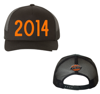 2014 3D Puff Hat