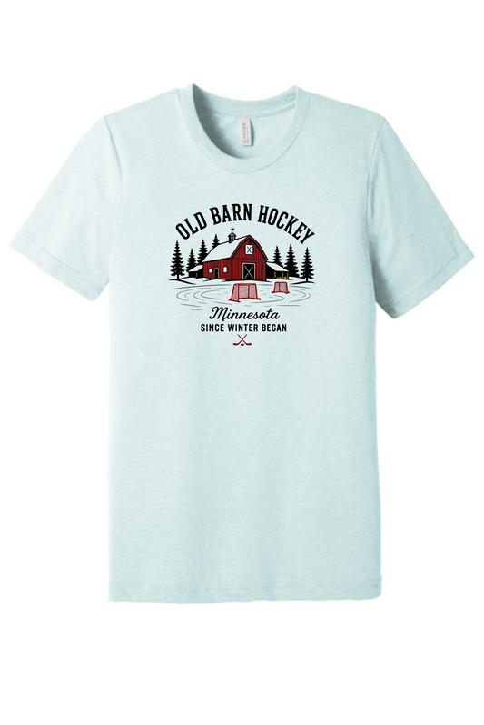 TTN Originals Old Barn Hockey printed t-shirt in ice blue triblend